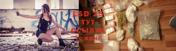 сатива Няндома