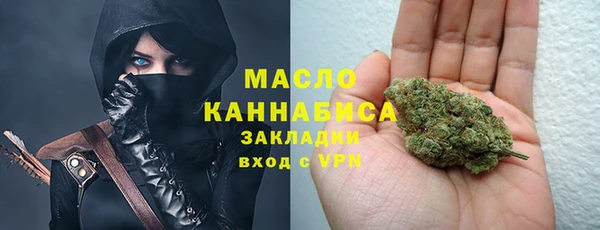 сатива Няндома