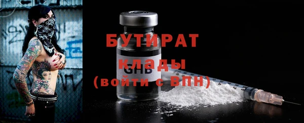 сатива Няндома