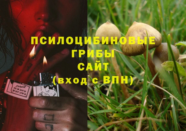 каннабис Новозыбков