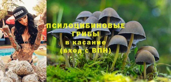 сатива Няндома
