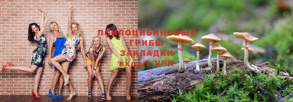 каннабис Новозыбков
