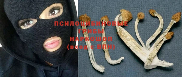прущая мука Нязепетровск