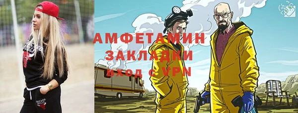 сатива Няндома