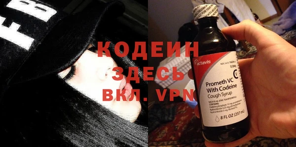 сатива Няндома