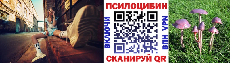 Псилоцибиновые грибы Psilocybe  Саки 