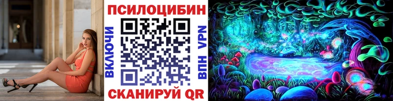 Псилоцибиновые грибы мицелий Саки