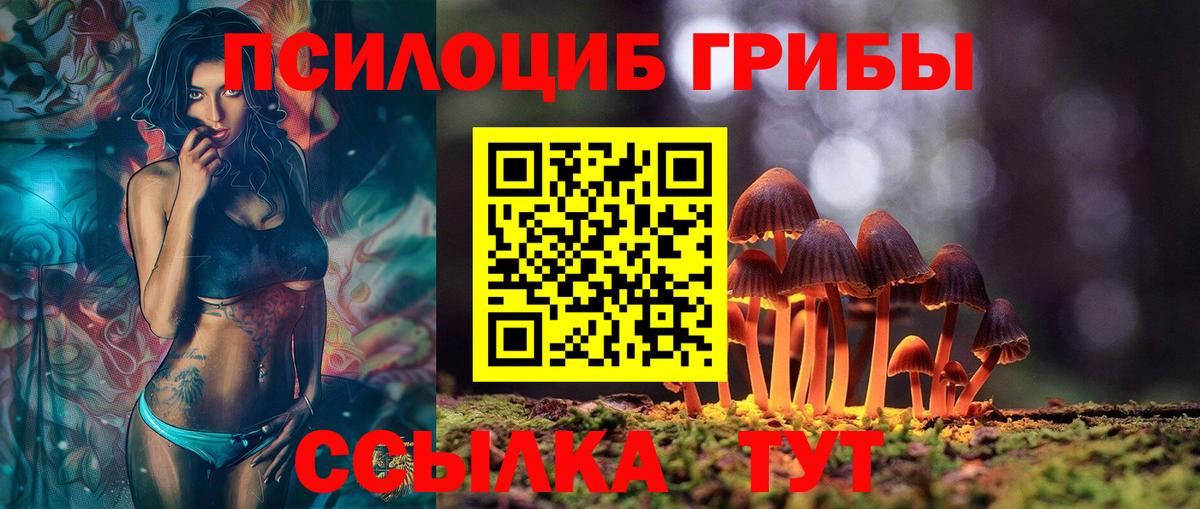 Галлюциногенные грибы Psilocybe  Псилоцибиновые грибы мицелий  Саки  Вход с VPN 
