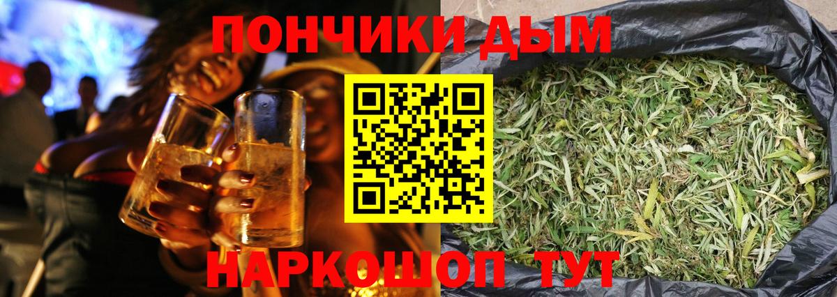 Шишки марихуана сатива Саки